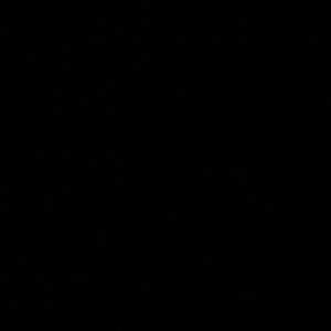 Meet your Posher, Shaun